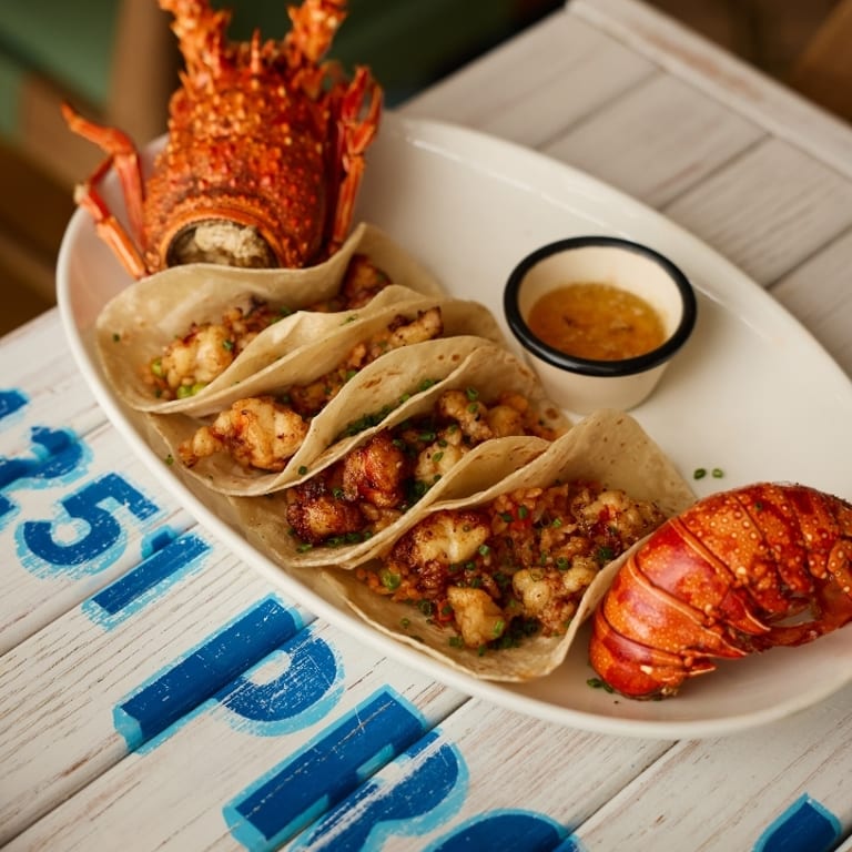 Savor Our Lunch Offerings