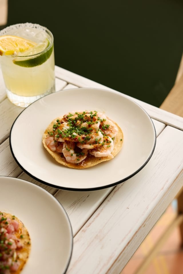 La Jollita Tostada.